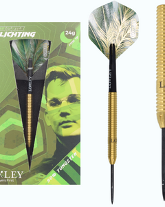 David Schlichting darts